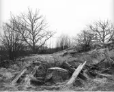 Norrgården, torp under V Arninge, platsen för