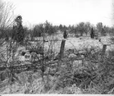 Sjöstugan under Väster Arninge, platsen