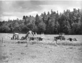 Skördearbete på Skålhamra