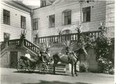 Hästskjuts utanför Näsby Slott