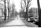 Gribbylunds torg allén, 1995