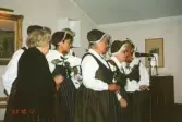 Ekerö hembygdsdräkt jubilerar 2004.