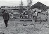 Undersökning på Koparbackan i Malax sommaren 1985.