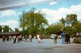 Skansen 100 år 1991.