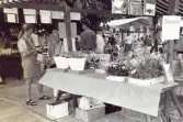 Hembygdsförbundets medverkan på Stockholms vattenfest, 1994.