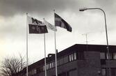 Förbundets årsmöte i Vallentuna 1995.