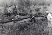 Hembygdsförbundets studieresa i Österbotten augusti 1982.