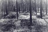 Hembygdsförbundets studieresa i Österbotten augusti 1982.