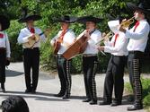 Hembygdens dag på Skansen 22 aug 2004