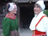 Skansen<br />Hembygdsdräktens dag 2004