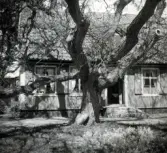 Gamla staden 64, 93-95, 126. Krusenstiernska gården. Huvudbyggnaden, exteriör fasaden med 3/4 av fasaden synlig.