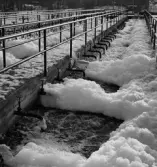 Ingenjör, Reningsverk
Två ingenjörer på Tyresö kommunhus samt detaljer reningsverk