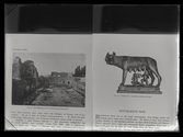 Avfotograferade sidor ur bok. Hippodrom och staty av varginna, Rom. Dir. Celsing, Kolbäck.
Ur Gustaf Åhmans samling.