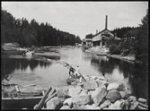 Grupporträtt vid vatten. Hult, Nat.
Ur Gustaf Åhmans samling.