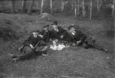 Fyra män på picknick