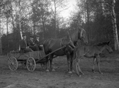 Herrar Velin med häst och vagn