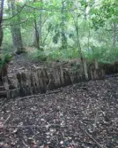 Damminventering; Träskets skibordsdamm 1; Österåkers kommun; 2013