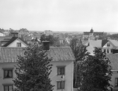Linköping 1916