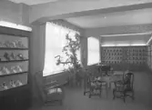 Utställningsrum på AB J.Persson & Co skofabrik, 1950