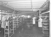 Putsning och besiktning på Kronans Skofabriks AB, 1949