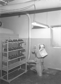 Skoställ på Kronans Skofabriks AB, 1948