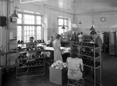 Personal putsar skor och fyller med papper på Kronan Skofabriks AB, 1940-1941