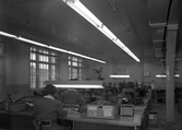 Nåtlingsarbete på Kronan Skofabriks AB, 1950