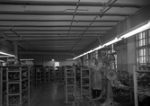 Arbetare på Kronan Skofabriks AB, 1950