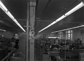 Nåtling och sömnadsarbete på Kronan skofabriks AB, 1950