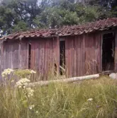 Brottö; gammalt grishus