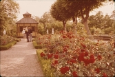 Skansen. Rosengården