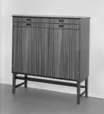 Skåp med två dörrar