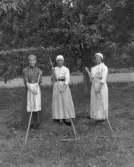 Skördearbetande kvinnor