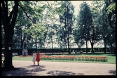 Vårbild från Linneparken i Växjö 1956, med blommande tulpaner i rabatterna.