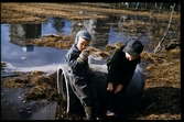 Spetsamossen vid Lassaskog, Växjö 1956.