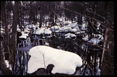 Vinterlandskap i Öjaby, Växjö. 1957.