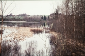 Sjö och en gård i bakgrunden, mellan Växjö och Ör. 1958.