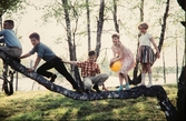 Barn som klättrar i träd. Sjöudden i Växjö. 1958.