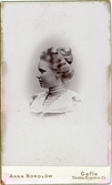 Ellen Flensburg, 1901