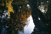 Vattenspegel på Räppe kanal, 1959.