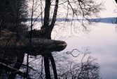 Helgasjöns strand, Växjö. 1960.