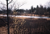 Helgasjöns strand från Hissöbron, Växjö. 1960.