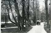 Sala sf.
Parti av Stadsparken, 1933.