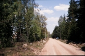 Torpavägen på Teleborg i Växjö. Till vänster bakom träden skymtar man ett torp och till höger om vägen står en bil parkerad.