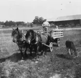 Hästskjuts framför okänd lada