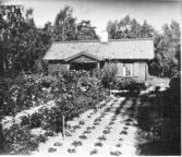 Gribbylund, fritidshus 30-talet (f.d. Stenhagen)