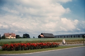 Själslund på Gamla Norr i Växjö, 1960. I bakgrunden husen längs med Håkan Sjögrens väg.