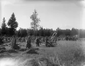 Havreskärning med avläggare, 1920-tal