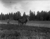 Plöjning med häst i Hidingsta, 1930-tal