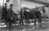 Herrarna Velin med häst och vagn